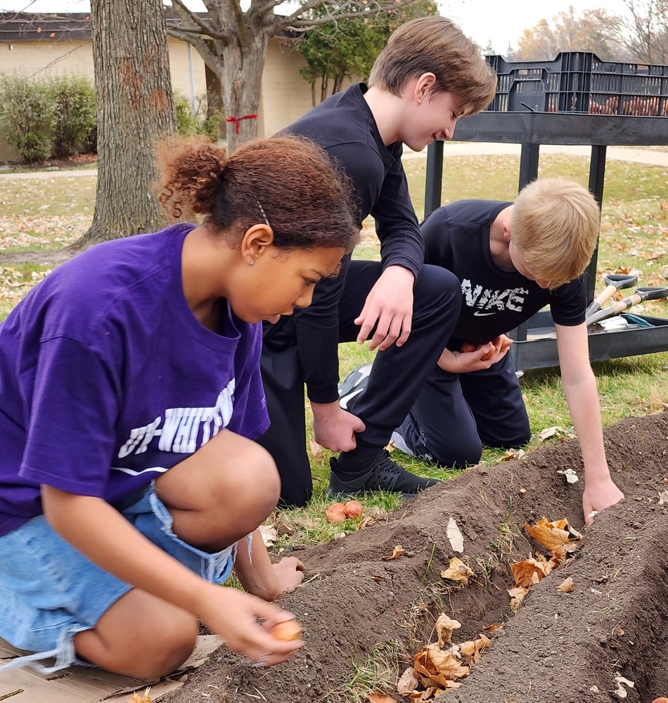 Students planting bulbs 