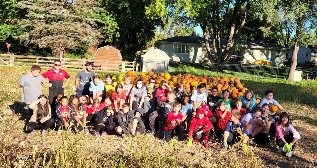 Pumpkin harvest